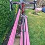 Fuji Racing Bike Image 4