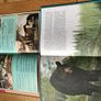 1001 Questions & answers, Bears & Sharks Books Image 3