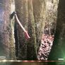 Baptists - Bushcraft Image 9