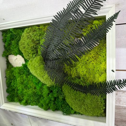 Wall decor 33x45cm Natural moss