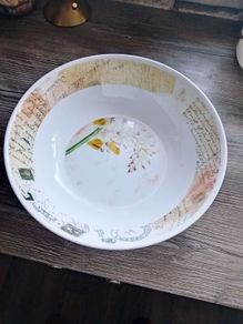 2 large plastic bowls
