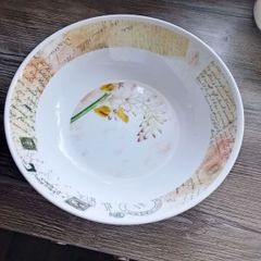 2 large plastic bowls