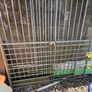 Heavy duty metal dog run Image 2