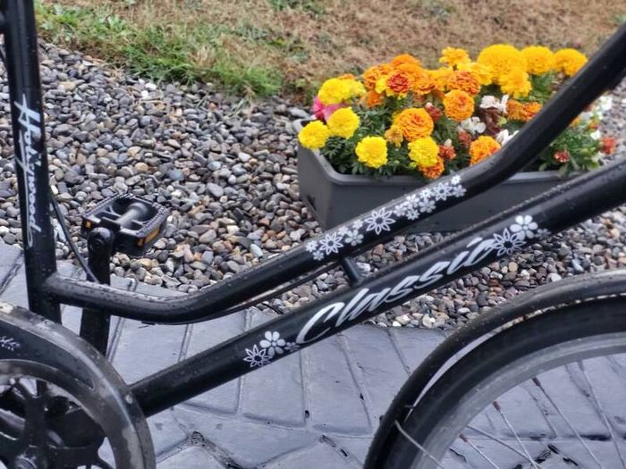 Ladies Bike single speed No Messy Gears