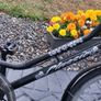 Ladies Bike single speed No Messy Gears Image 7