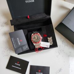 Tudor Black bay