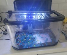 fish tank