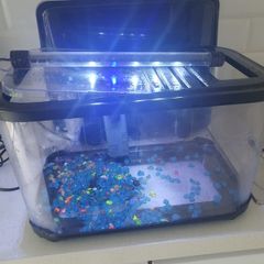 fish tank
