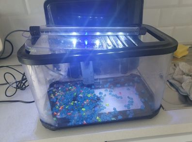 fish tank