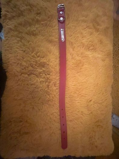 New Leather Dog Collars