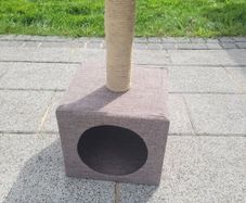Cat scratcher