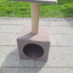 Cat scratcher