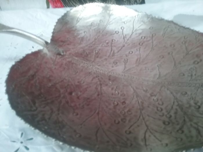 Metal Leaf Tray