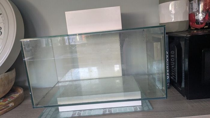 Fluval Edge 23L Aquarium