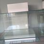 Fluval Edge 23L Aquarium Image 2