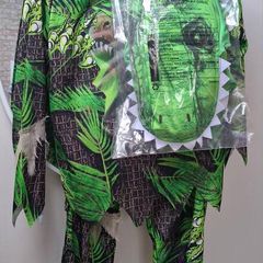 Dinosaur Costume Halloween