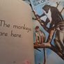 4 X 1950's Ladybird books Image 4