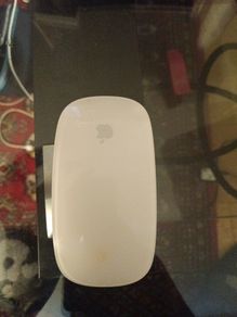 apple mouse