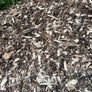 Wood chipping service Image 3