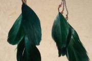 Feather Earrings