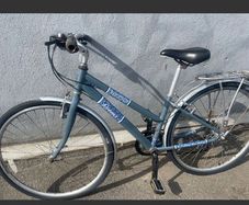 beautiful ladies raleigh bike