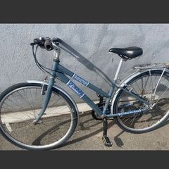 beautiful ladies raleigh bike