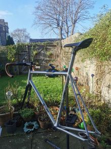 BLB viper track frameset