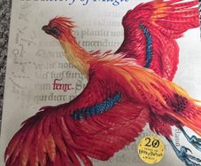 Harry Potter: A History of Magic