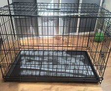 Dog cage with cover