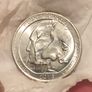 State Quarter Dollar Mint State with full luster Image 4