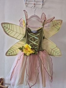 fairy costume