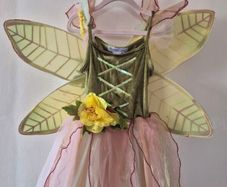 fairy costume