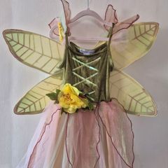 fairy costume
