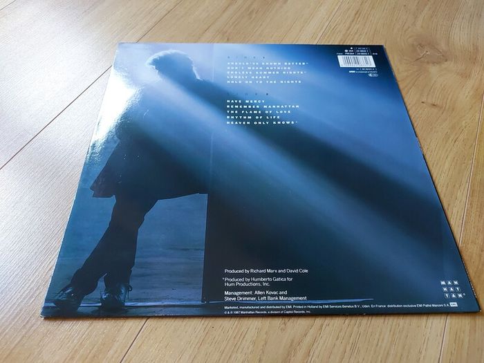 Batch Of Vinyl Records For Sale (2/15) - All Cleaned And In Excellent Condition