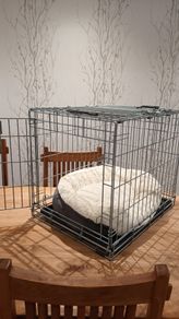 Dog crate and bed