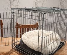 Dog crate and bed