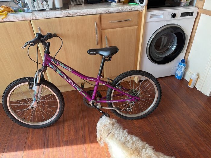 bike