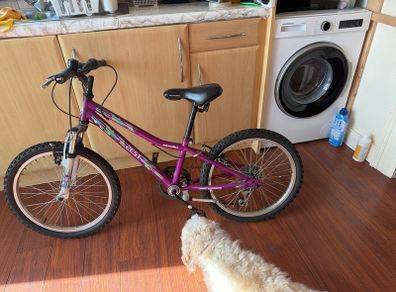 bike