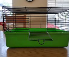 hamster cage