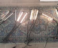 Grow Light for indoor plants