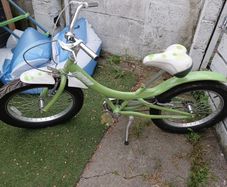 kids giant bike