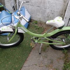 kids giant bike