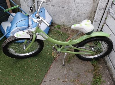 kids giant bike