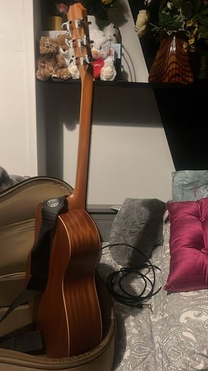 Taylor GS Mini semi acoustic
