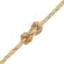 Rope 100% Sisal 8 mm 250 m Image 2