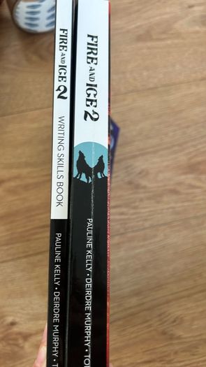 fire and ice english book