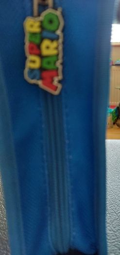 Nintendo Ds Storage case (Dc)(499)  1