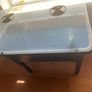 Vegetable Grow Table Image 2
