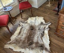 Reindeer Hide rug