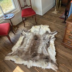 Reindeer Hide rug